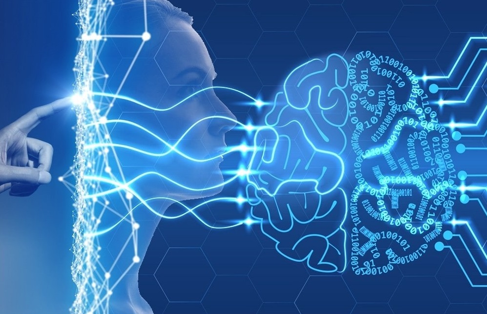 complete-machine-learning-roadmap-for-data-science-and-ai-hamruyesh-com.jpg